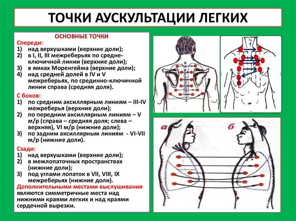 Что такое аускультация легких, алгоритм проведения, при каких заболеваниях проводится