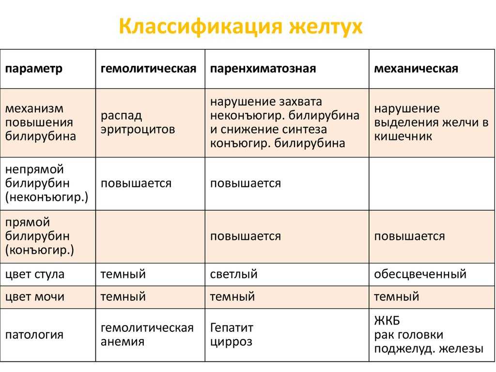 Билирубин общий повышен, что это значит у взрослого? повышенный уровень билирубина у взрослых: причины