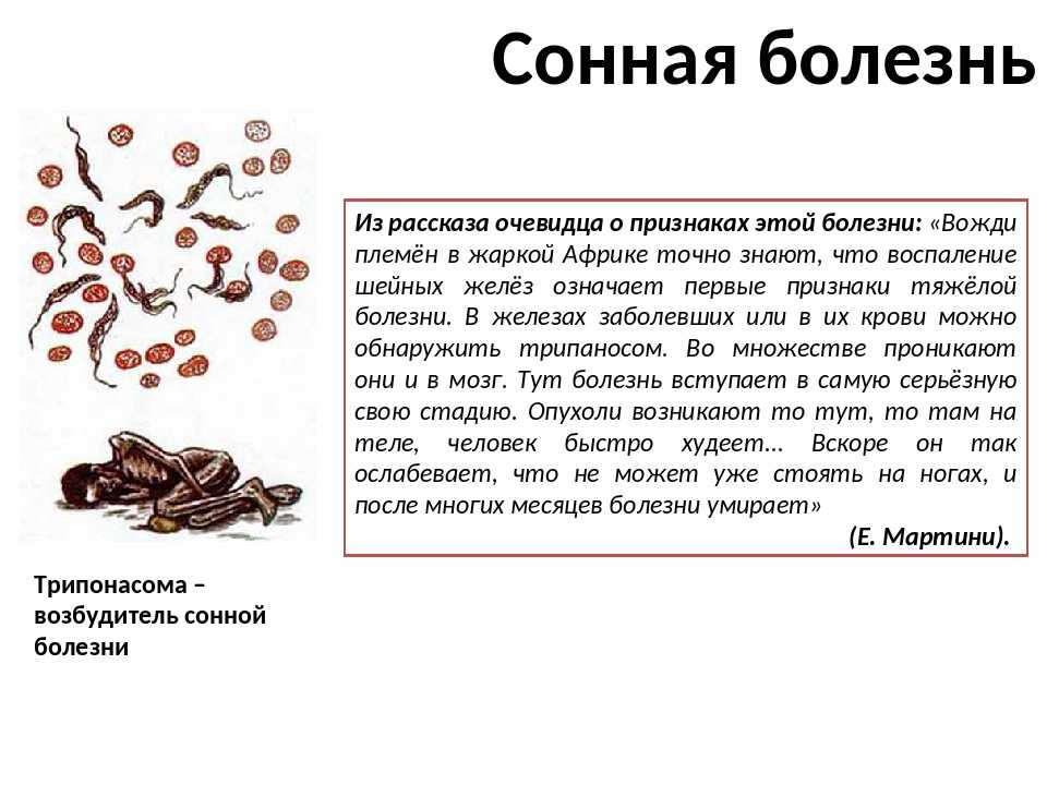 Жизненные циклы паразитов: виды, классификация, смена хозяев | признаки, лечение и диагностика вгкб № 2