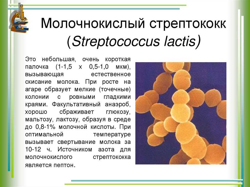 Стрептодермия | симптомы | диагностика | лечение - docdoc.ru