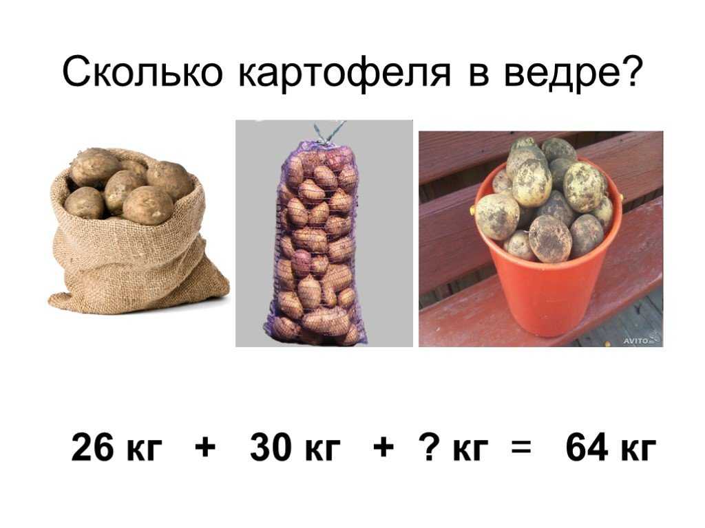 В 3 пакета разложили поровну 12 кг картофеля сколько килограммов картофеля в каждом пакете схема