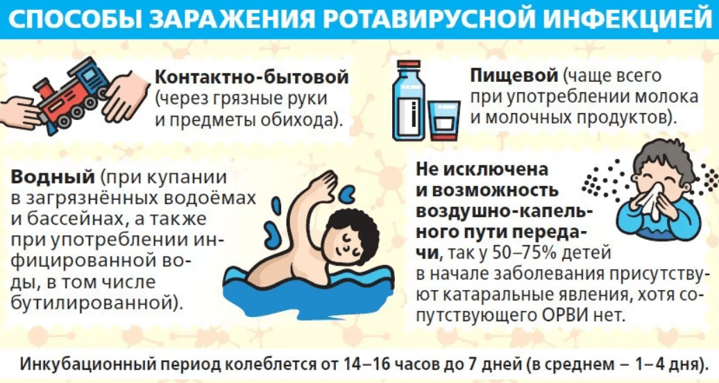 Передаются ли глисты от животных к человеку | апиценна