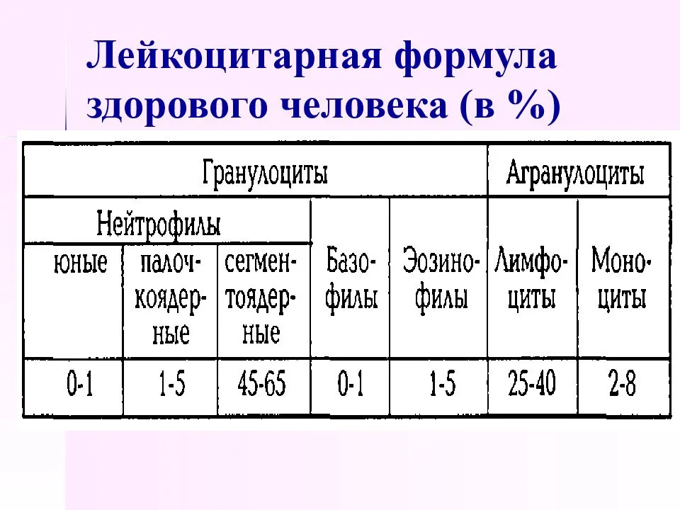 Повышенные моноциты у ребенка и взрослого в крови: что это значит, причины, норма – эл клиника