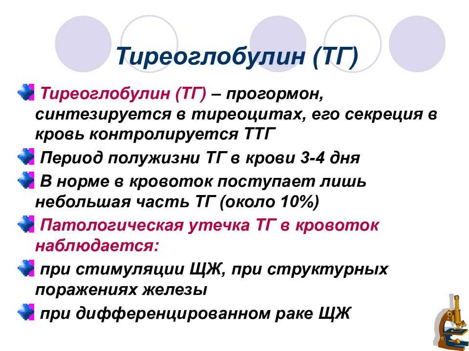 Тиреоглобулину детей. Тиреоглобулин. Период полужизни. Период полужизни это в фармакологии. Период полужизни препарата это.