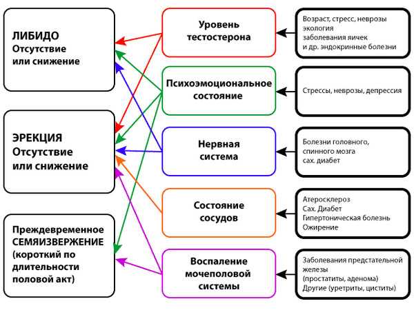 Как снизить либидо у женщин