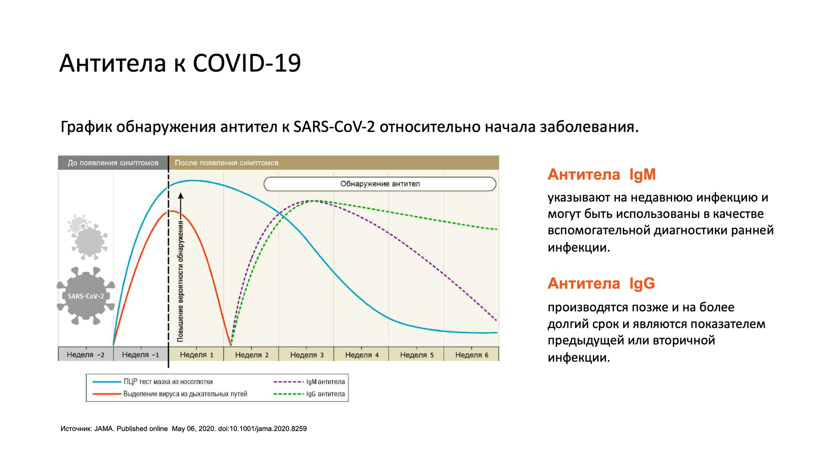 Топ - 5 важных вопросов об иммунитете к covid-19