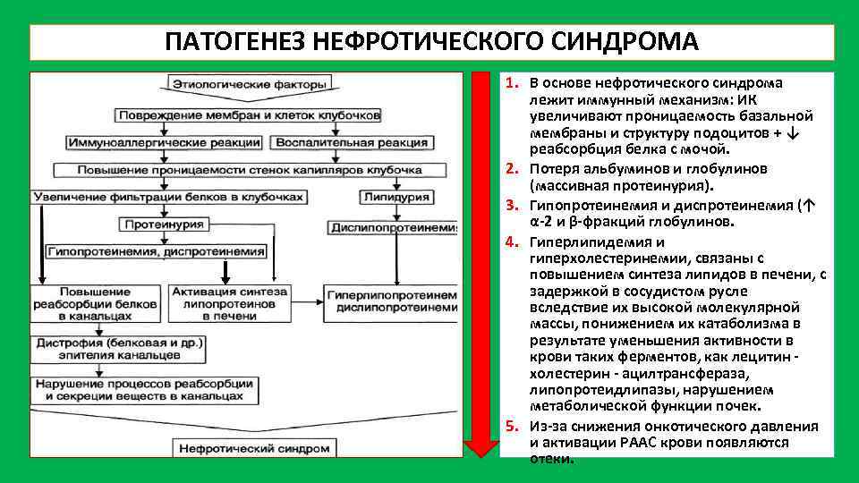 Частое мочеиспускание