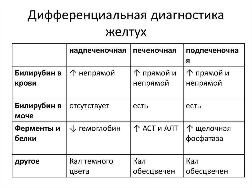 Повышенный билирубин в крови: причины и лечение у взрослых