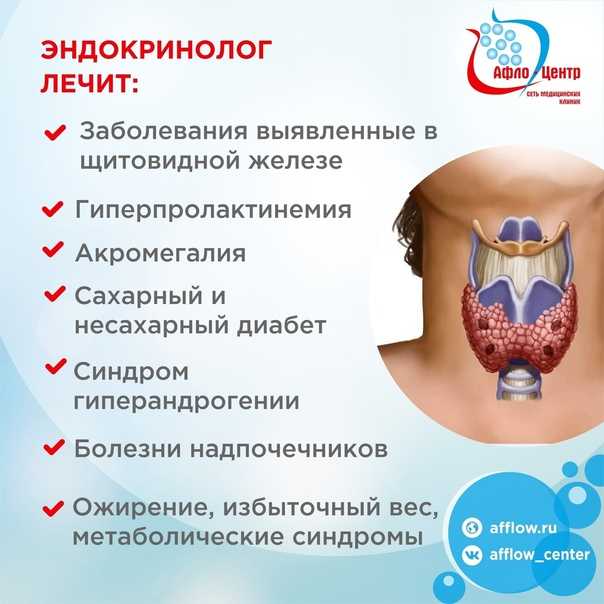 Что смотрит эндокринолог * клиника диана в санкт-петербурге