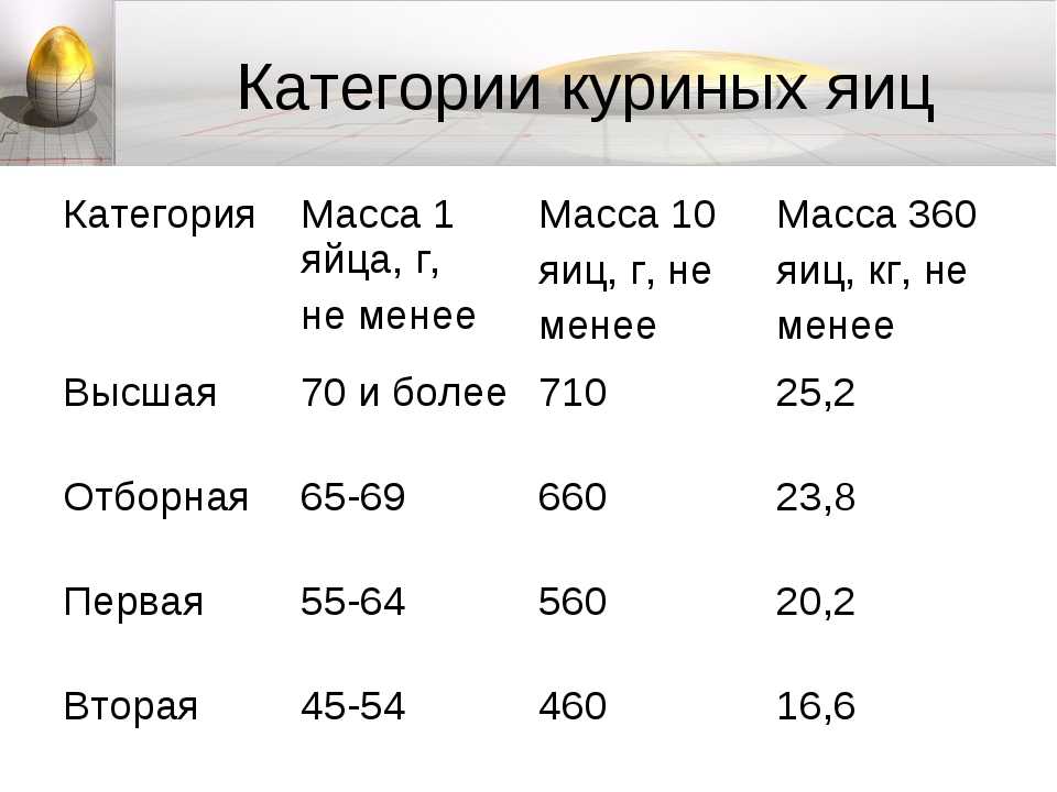 Вес одного куриного яйца: среднее значение и показатели у разных пород