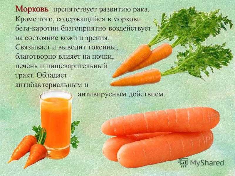Сырая, печеная, отварная морковь: калорийность на 100 грамм, польза, вред, витамины, минералы – хорошие привычки