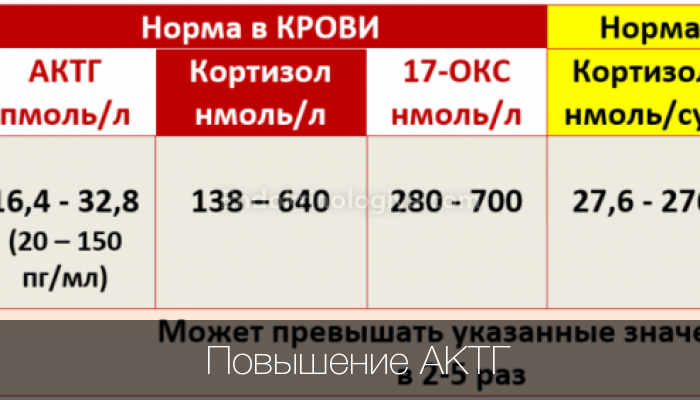 адренокортикотропный гормон норма у женщин