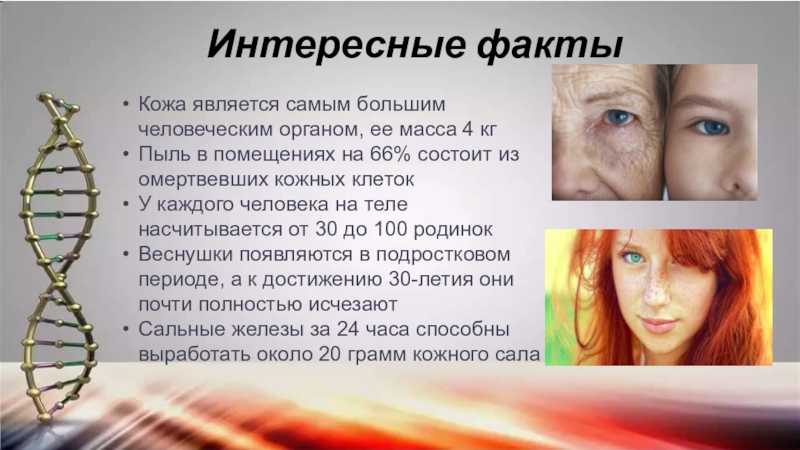 10 удивительных фактов о косметике, которые станут для вас полной неожиданностью