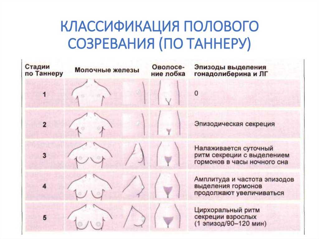 Когда у девочек заканчивается половое созревание?