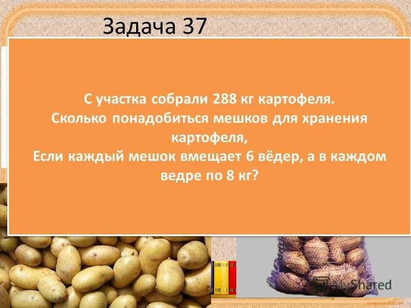 ✅ сколько весит ведро картофеля - питомник46.рф