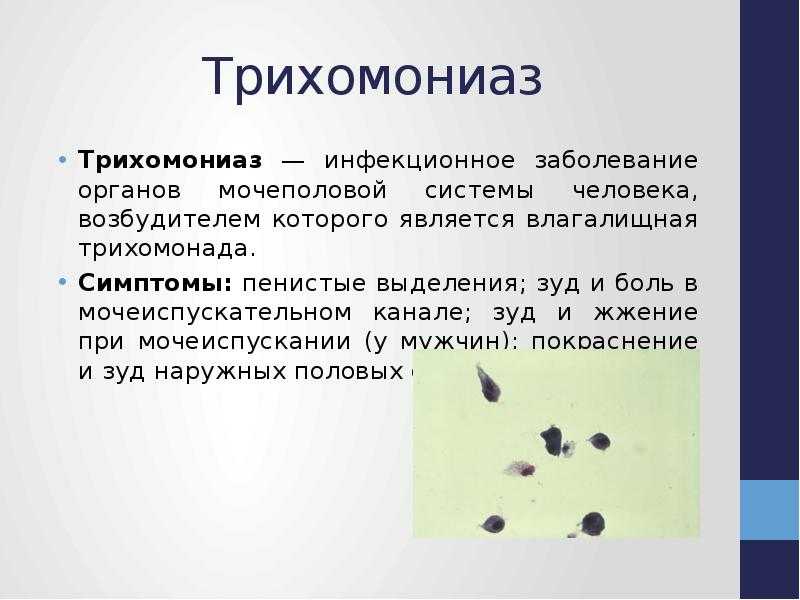 Трихомониаз - симптомы, лечение, профилактика