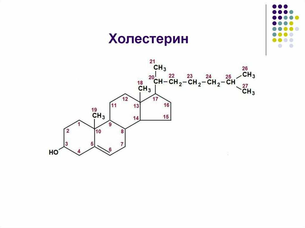 Холестерин норма у женщин по возрасту в таблице. нормальный уровень холестерина в крови у женщин после 40, 50, 60 лет