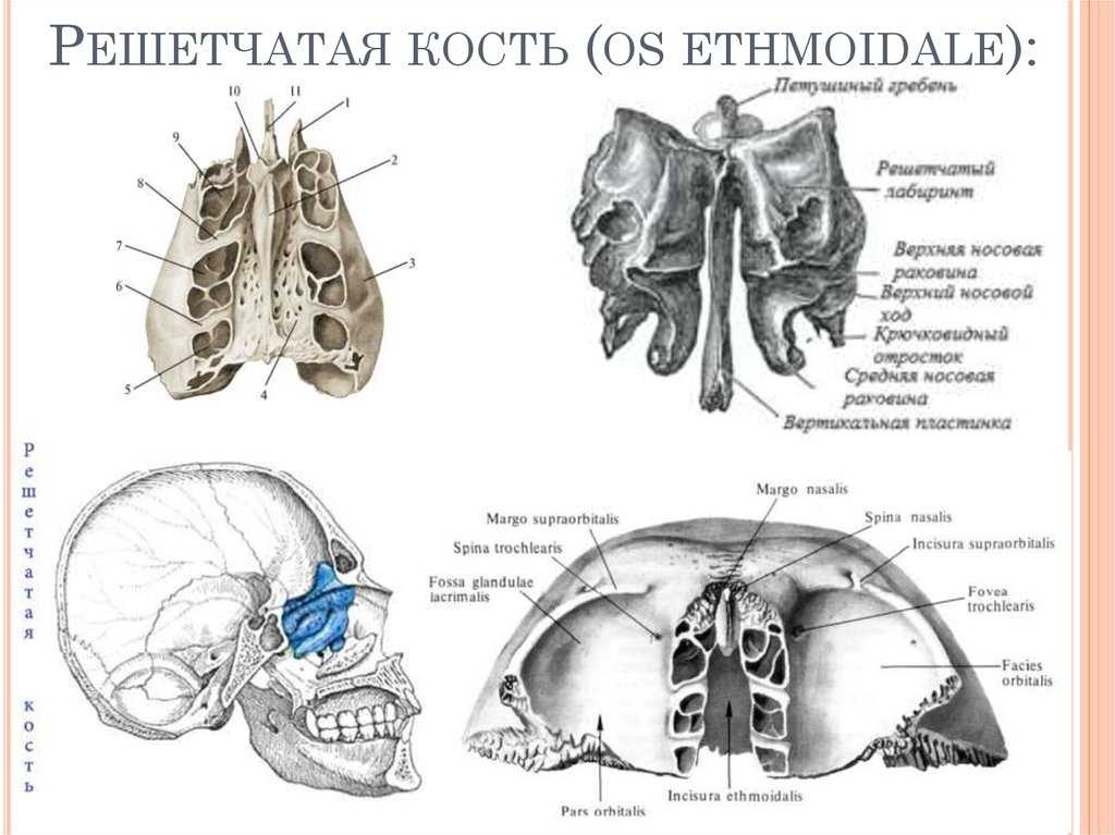 Решетчатые функции и их изображения