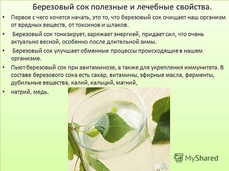 Сок каких деревьев можно пить