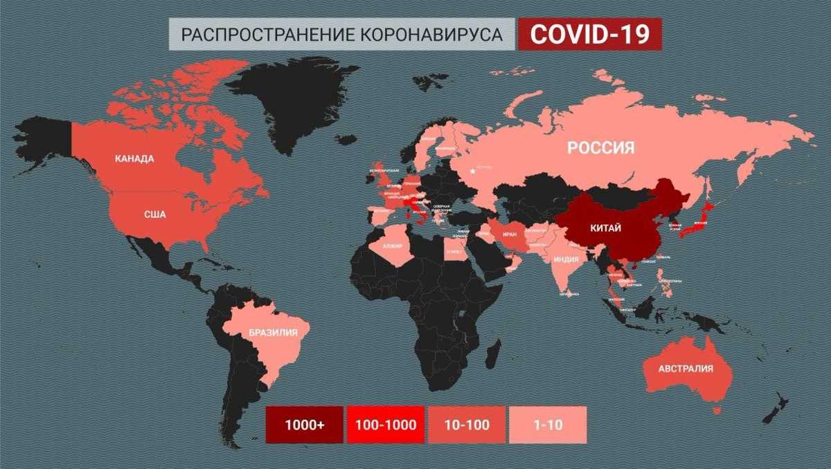 Грипп: симптомы у взрослых, как его распознать по первым признакам, штаммы и степени тяжести болезни, причины, лечение и профилактика