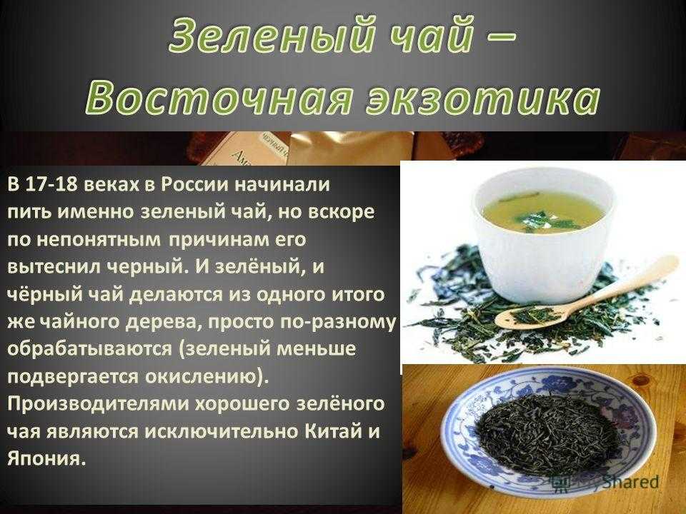 Зеленый чай: польза, вред и калорийность | food and health