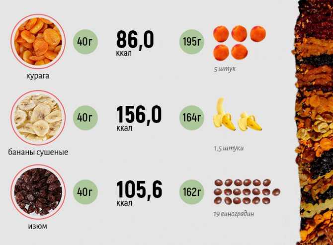 Чернослив: польза и вред для организма, сколько нужно съесть