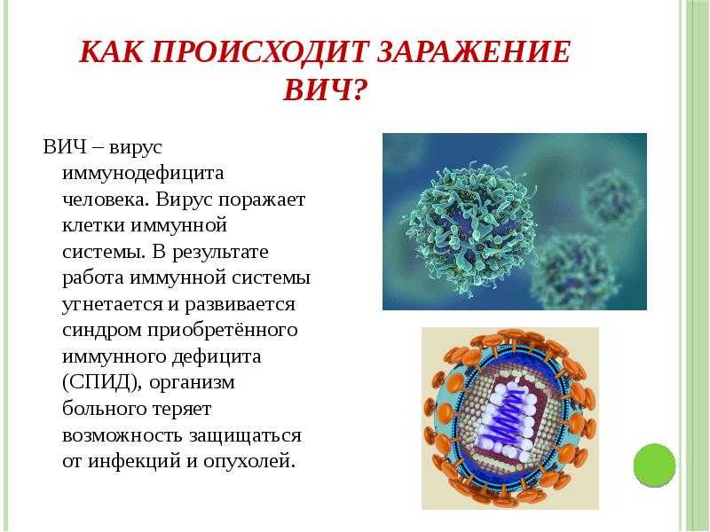 Симптомы вич: первичные и вторичные признаки | food and health