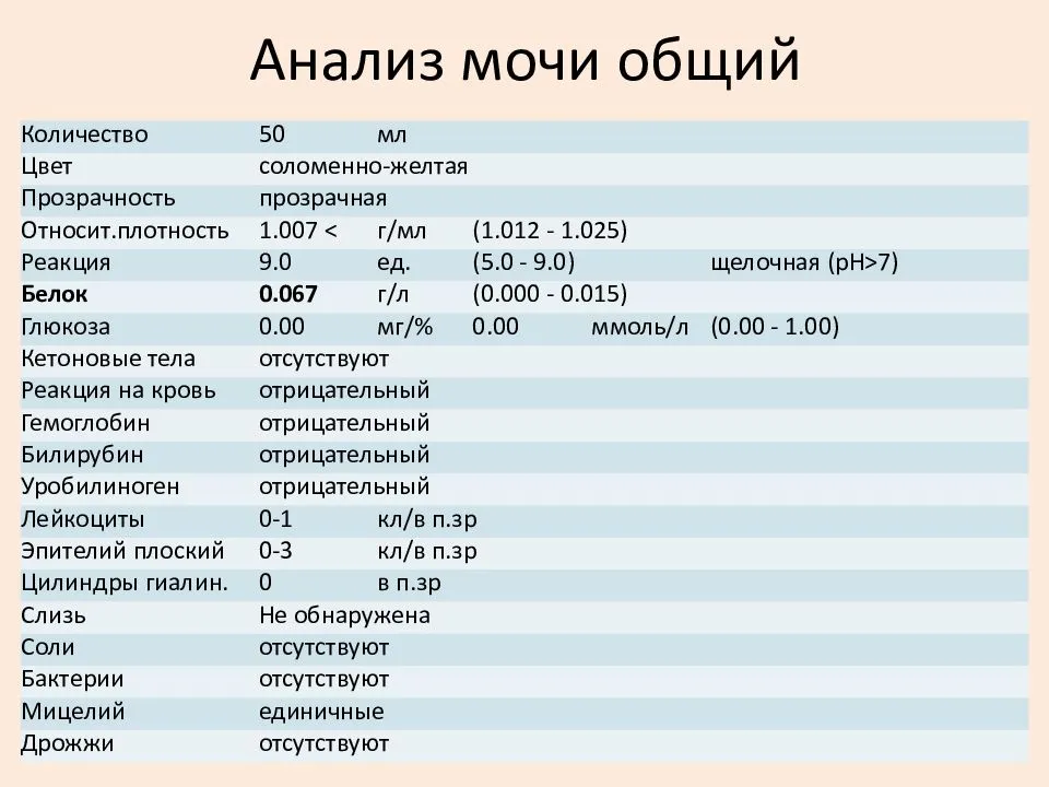 Лейкоциты в моче: норма, повышены, понижены, расшифровка