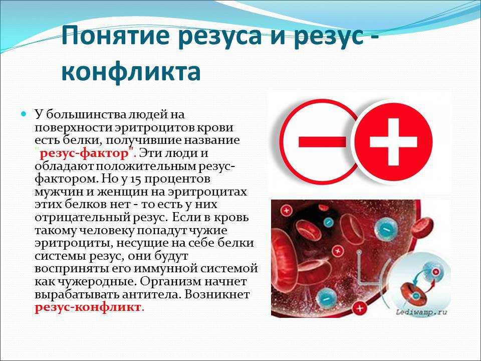 Определение резус-фактора плода по крови беременной женщины