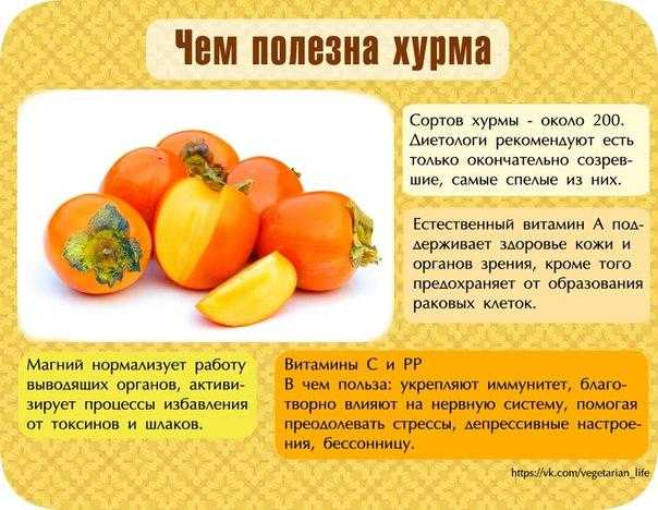 Польза и вред хурмы: как получить заряд витаминов, а не проблемы