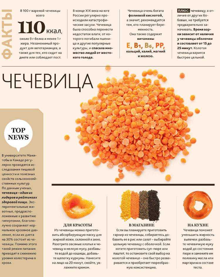 Чечевица - описание, состав, калорийность и пищевая ценность - patee. рецепты