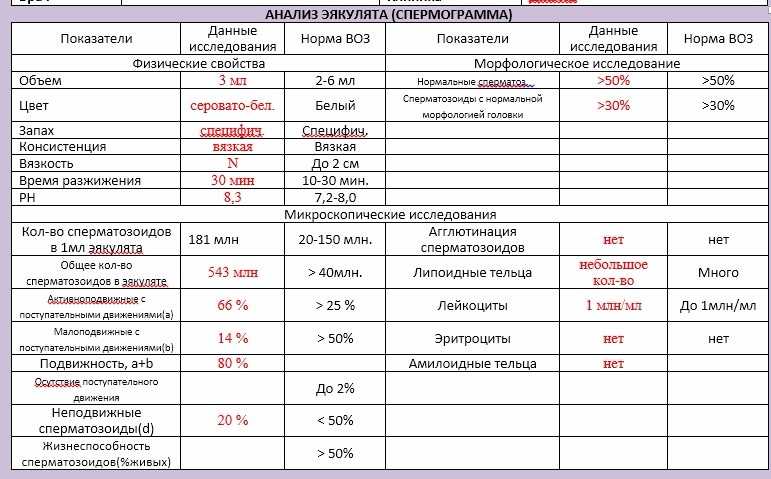 Расшифровка спермограммы: нормы, отклонения, показатели