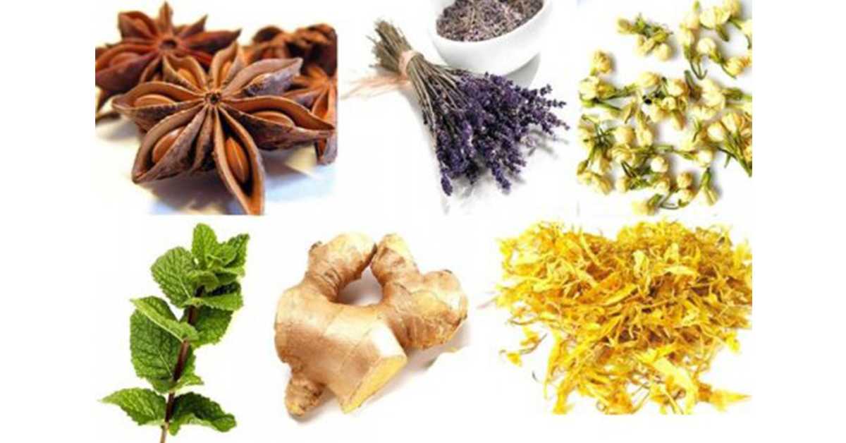 Что добавить в чай: топ 10 вкусных и полезных вариантов