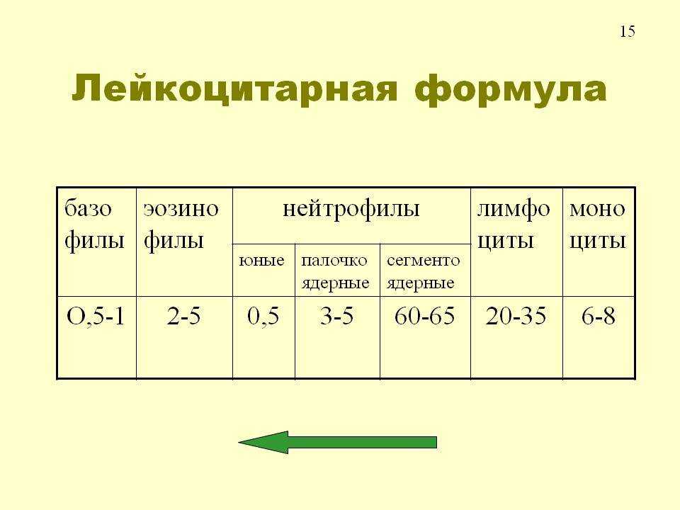Лейкоциты повышены у взрослого, о чем это говорит? повышенный уровень лейкоцитов у взрослых: причины