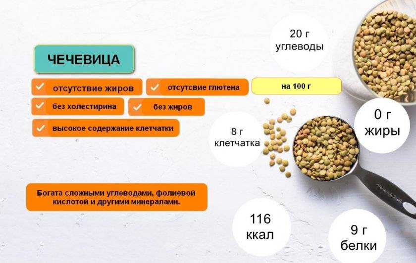 Чечевица: польза и вред для здоровья женщин и мужчин
