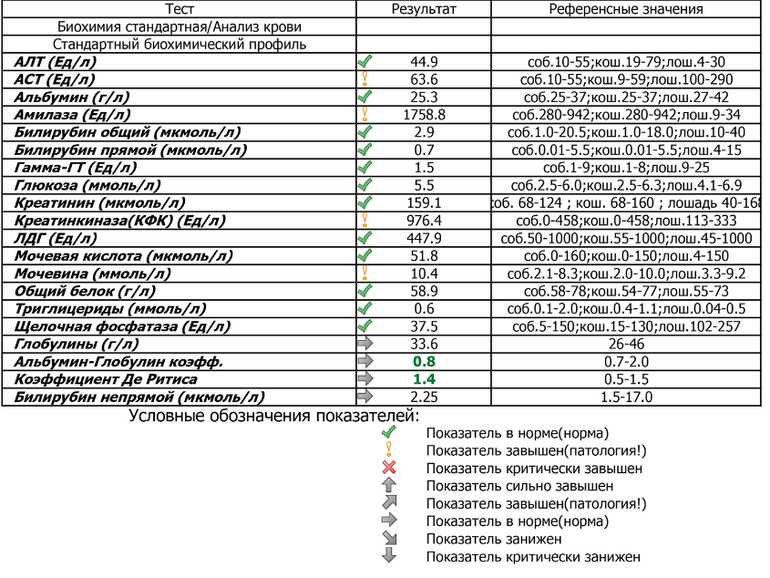 Трансферрин: что это, норма, понижен, повышен в анализе крови