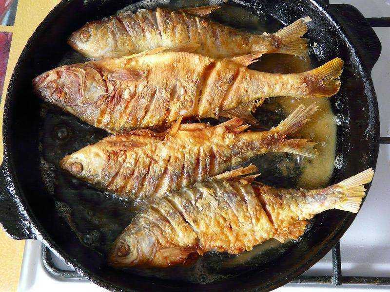 Кляр для рыбы: 15 вкусных рецептов простого блюда