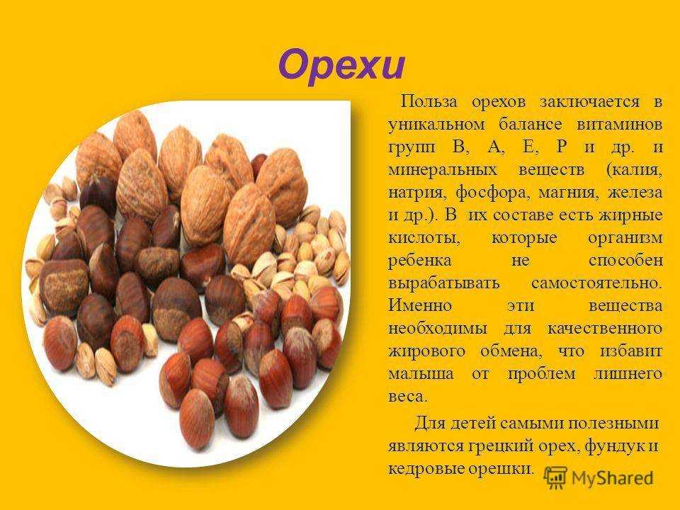 Орехи кешью. чем они полезны?  | управление роспотребнадзора по карачаево-черкесской республике