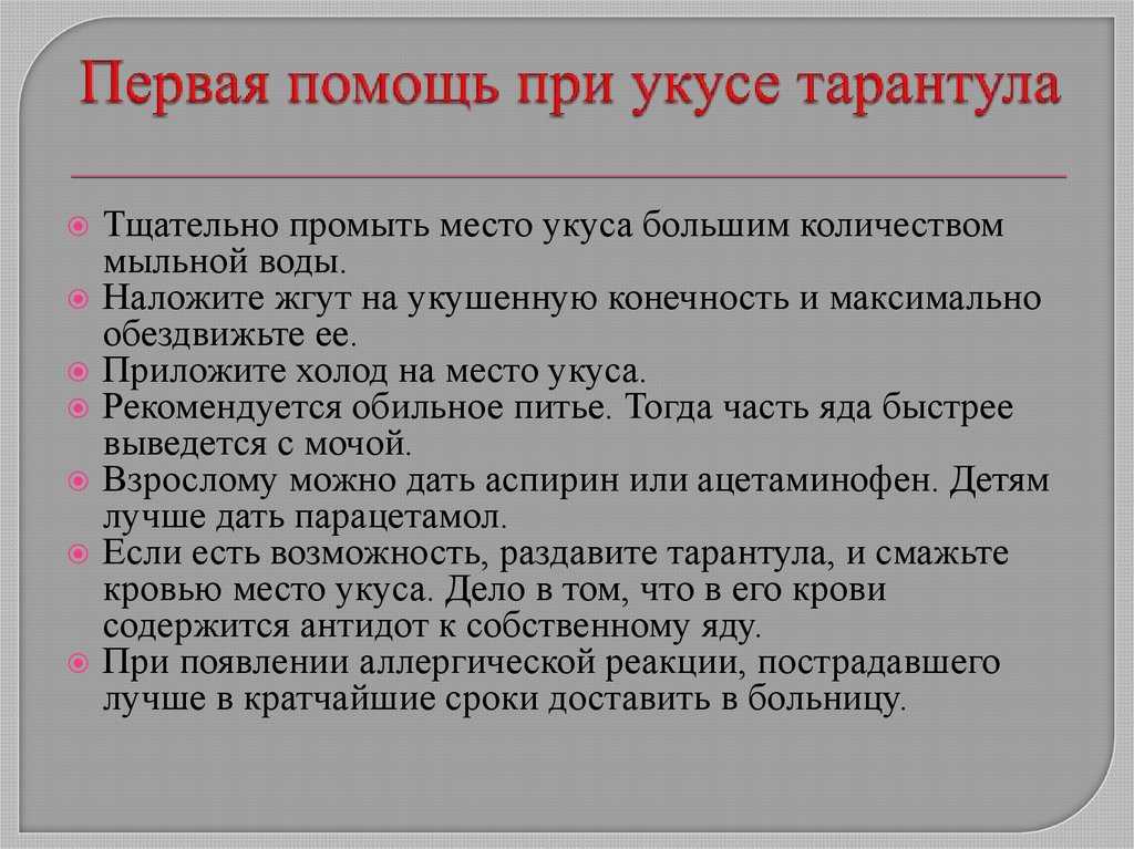 Паук каракурт – опасный паук из рода черных вдов. описание и фото паука каракурта
