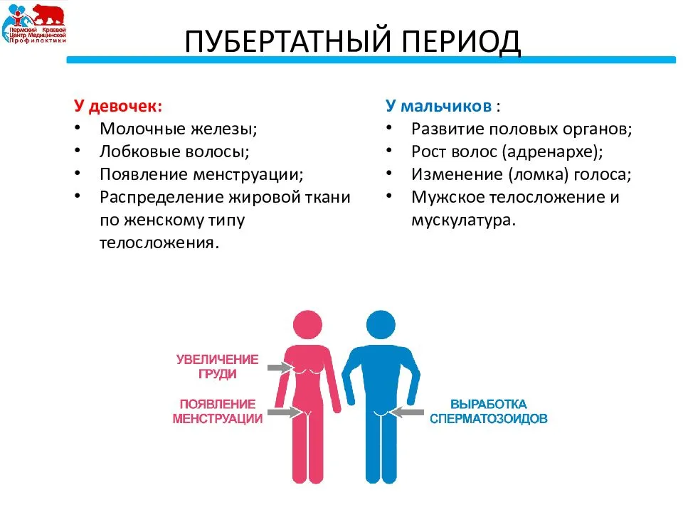 Половое созревание мальчиков презентация