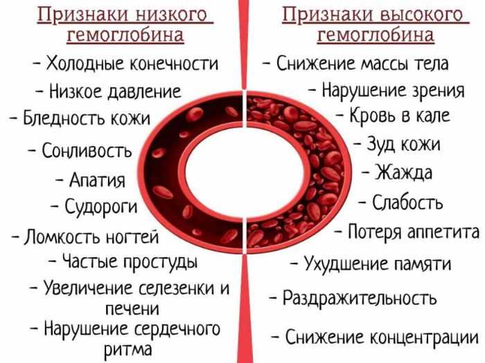 Анемия (низкий гемоглобин) у детей и взрослых - симптомы, степени, причины и лечение - docdoc.ru