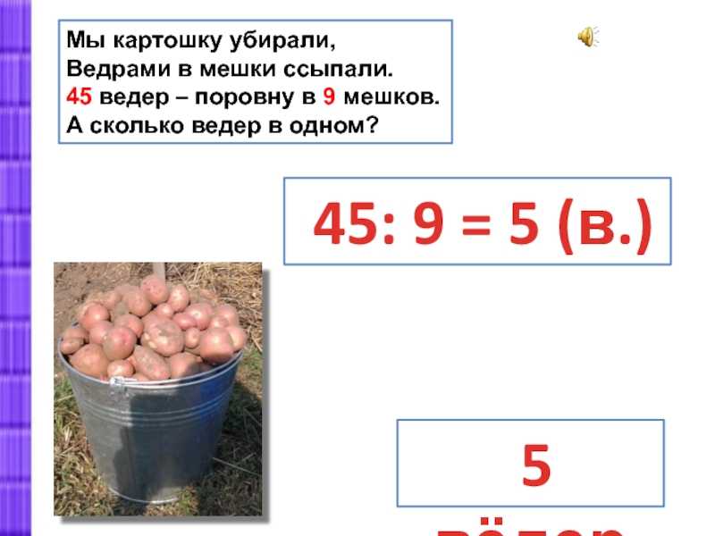 Сколько мешков риса по 25 кг в 20-футовом контейнере?