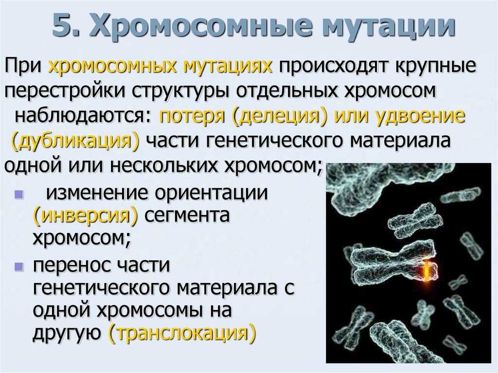 Анеуплоидия — патология детей, родившихся у женщин после 40 лет