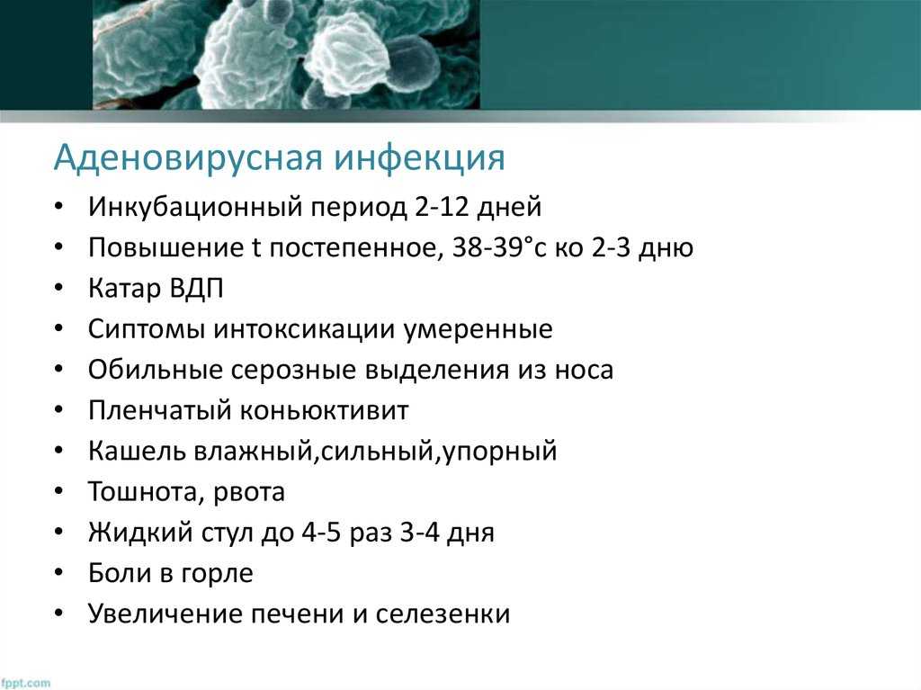 Аденовирусный конъюнктивит: симптомы, лечение, меры профилактики