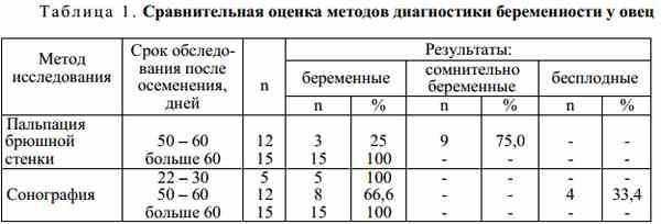Беременность у кошек: признаки, протекание беременности, уход