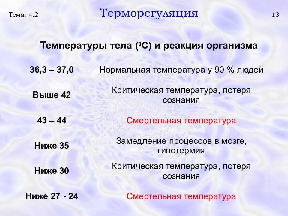Низкая температура тела причины 35.5 у взрослого,  причины пониженной температуры у человека, что делать