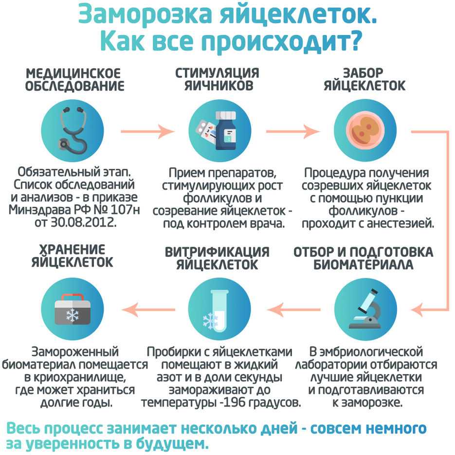 Заморозка Яйцеклеток Стоимость По Москве