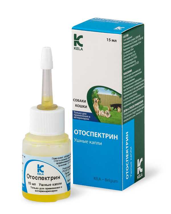 Отомикоз: симптомы, диагностика и лечение грибка в ухе
