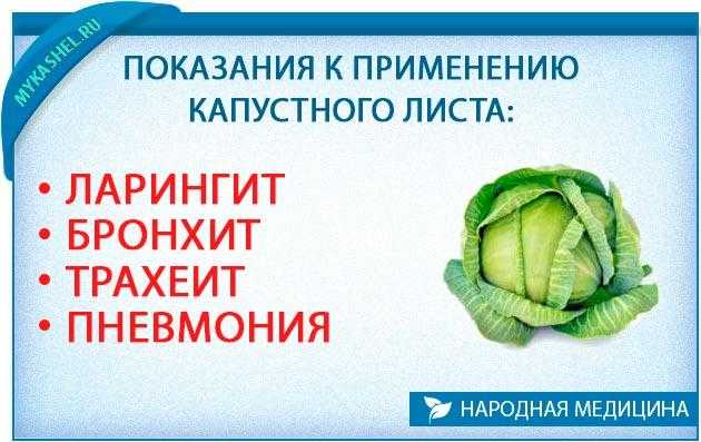 Капустный лист с медом от кашля: как сделать компресс из капусты | prof-medstail.ru