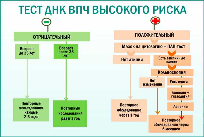 Вирус папилломы человека вызывает рак: как провериться на впч * клиника диана в санкт-петербурге